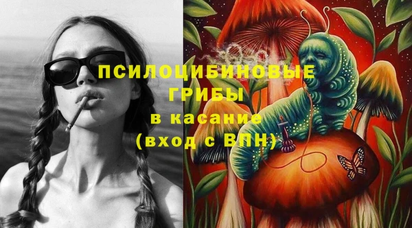 гидра Заволжск