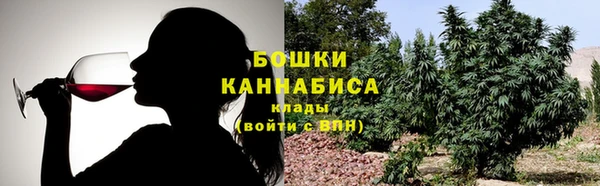 гидра Заволжск